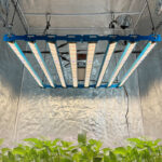 Kingbrite P55 800W BAR Grow Light with UV+IR |Samsung LM281B - Image 5